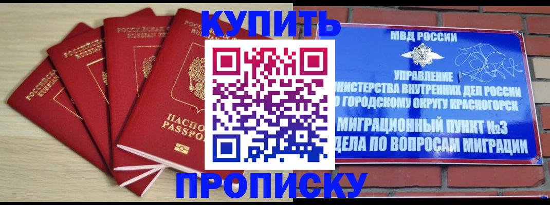 миграционный учет в Курске